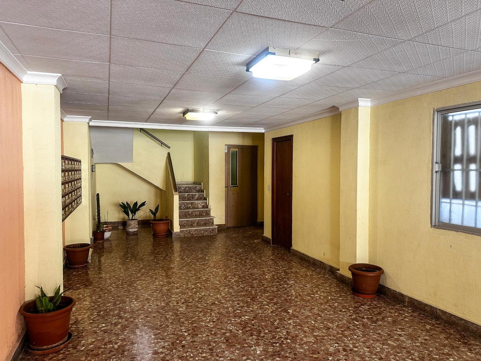 Palmas Apartments La Mata  Ngoại thất bức ảnh