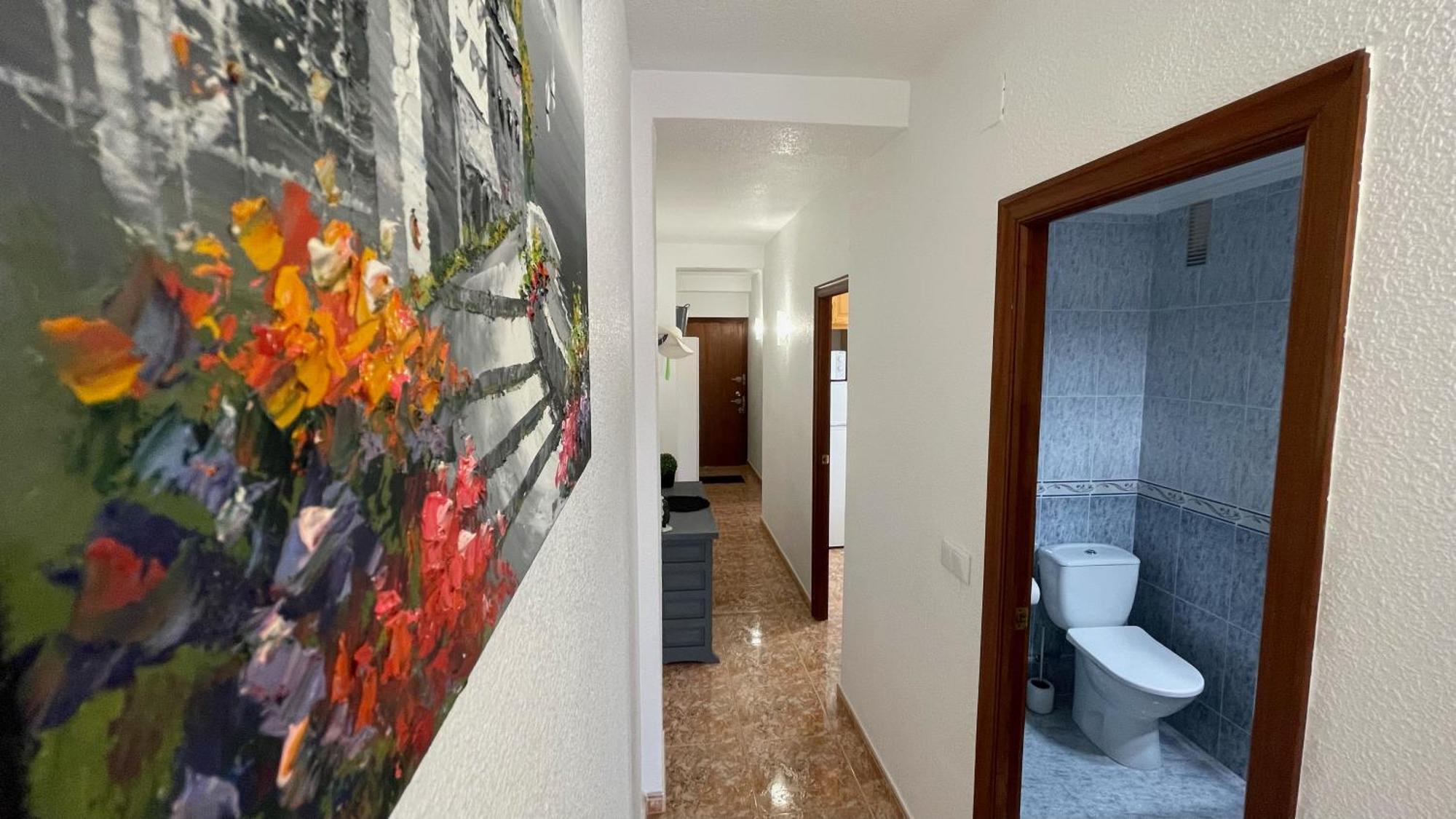 Palmas Apartments La Mata  Ngoại thất bức ảnh